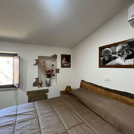 Dimora Forgione B&B - Пиетрелчина Екстериор снимка